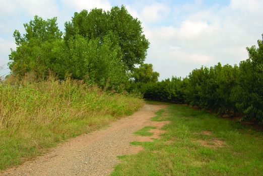 Camino que rodea el pantano